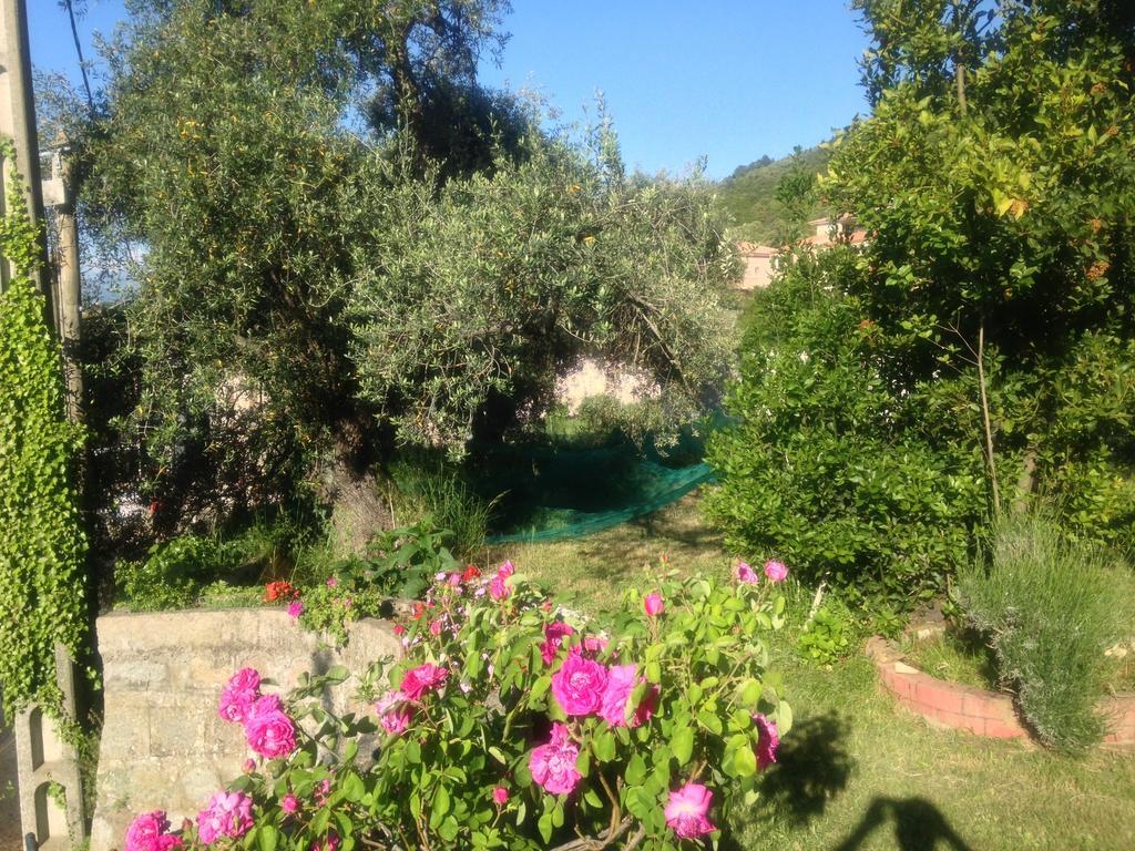 Hotel Les Calanques เพียนา ห้อง รูปภาพ